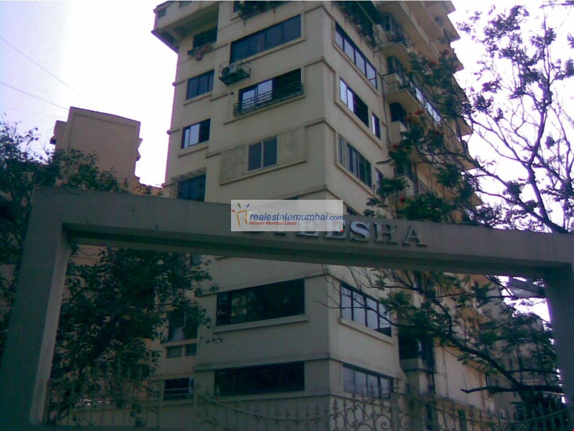 Main - Steesha, Bandra West